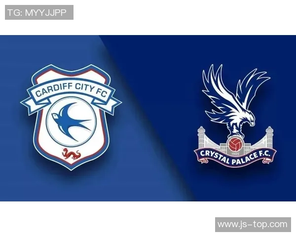 日水晶宫与加的夫城激战正酣比赛结果揭晓引发热议